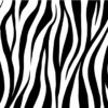 Zebra-Nero